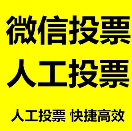 怒江傈僳族自治州投票活动拉票能被查出来吗？如何操作能不被发现？